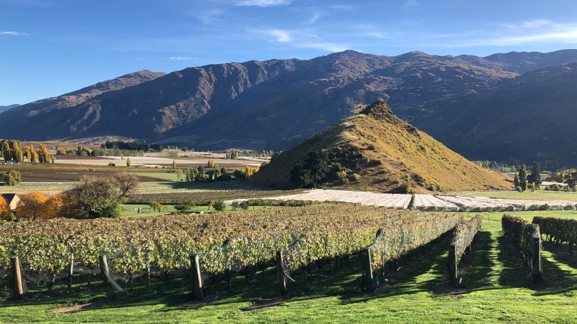 Mt Rosa Lodge Boutique Vineyard Accommodation Wanaka Exterior photo