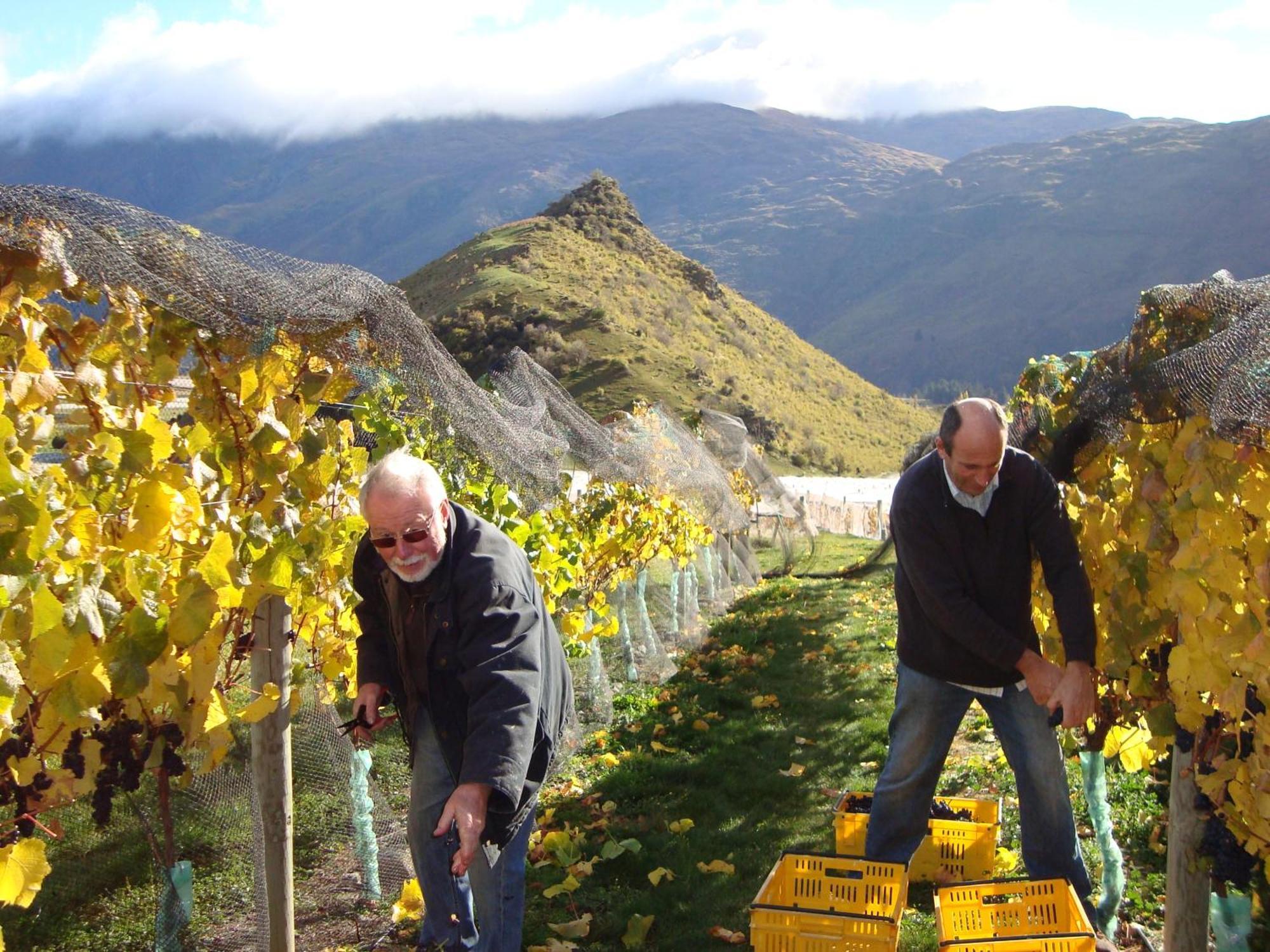 Mt Rosa Lodge Boutique Vineyard Accommodation Wanaka Exterior photo